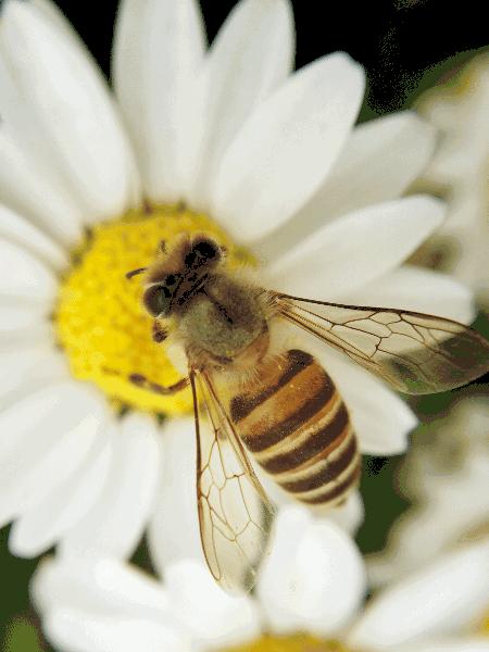 iPad是「无用的玩具」？用了一年，它为我打开了另一个世界