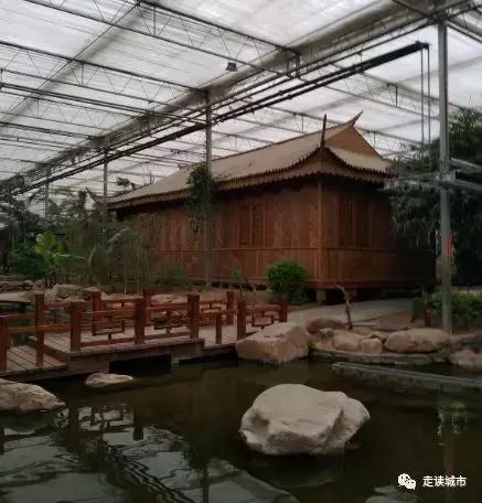 走读城市之廊坊安次(八):九天休闲谷