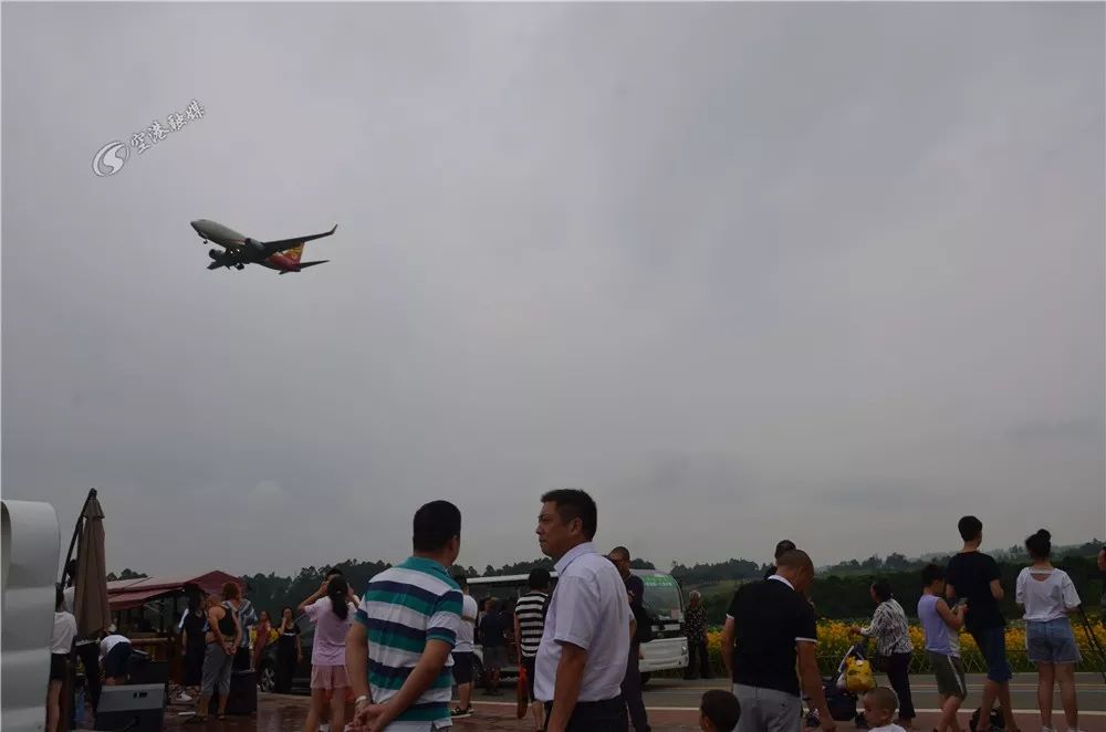 成都空港花田什么时候去最好看,双流空港花田这两天去好耍不
