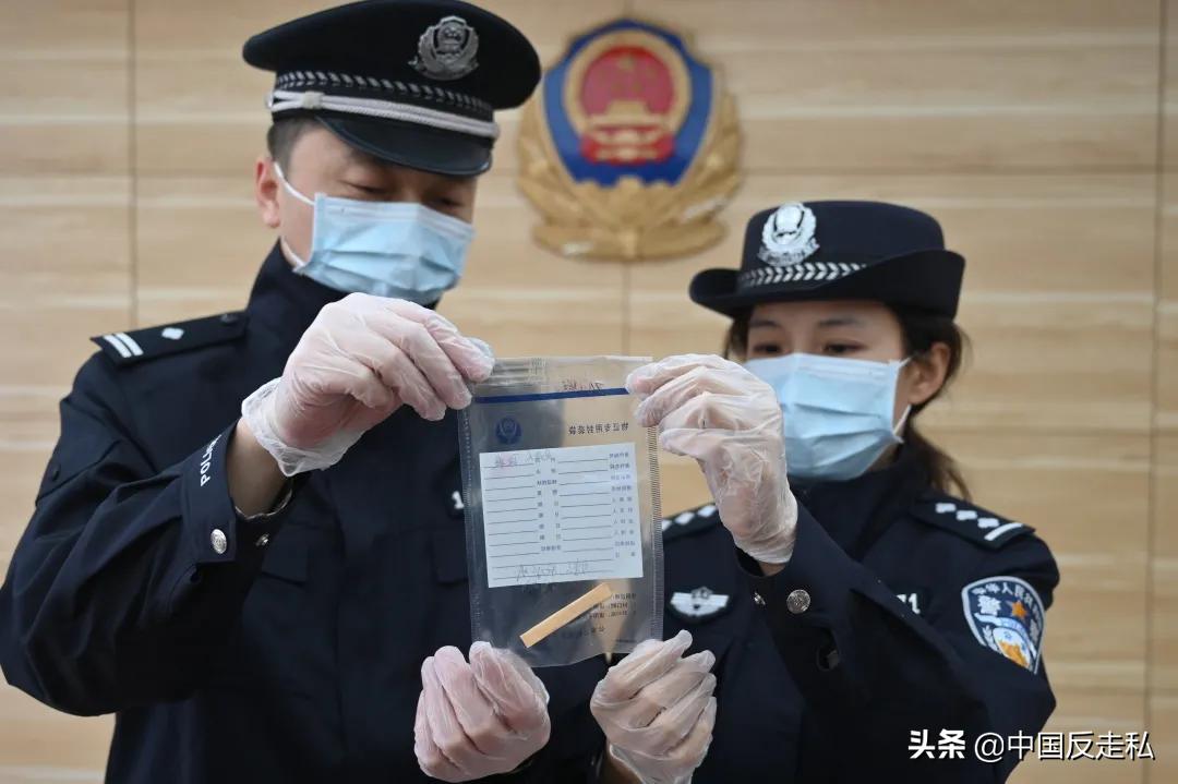 国门利剑行动,国门利剑2018全集