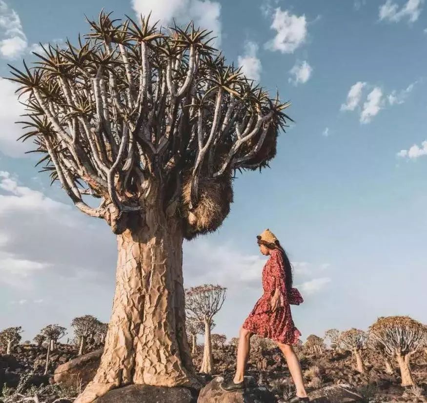 80个国家环游世界,环游世界走遍197个国家