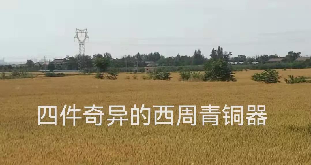 西周青铜盘铭文多的有几件,新出殷周青铜器铭文整理与研究