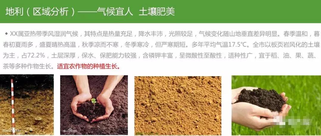 田园综合体类项目策划,田园综合体项目推介书ppt