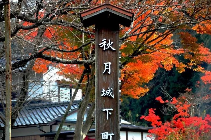 秘境的攻略,秘境旅游小众