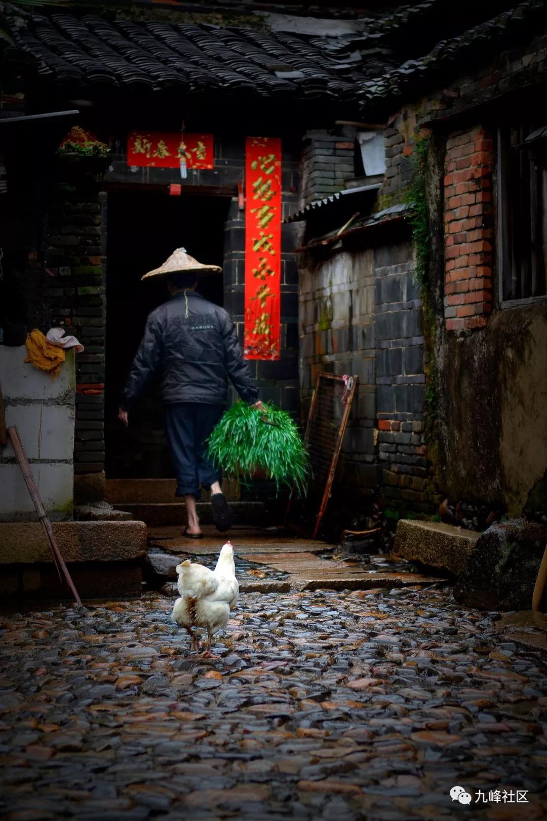 平和县九峰镇黄田村图片,平和县九峰镇黄田村