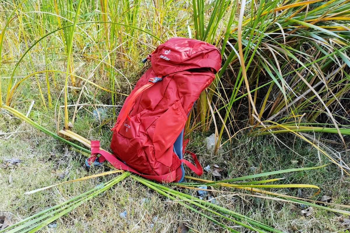 踏秋而行,踏秋而行原唱完整版