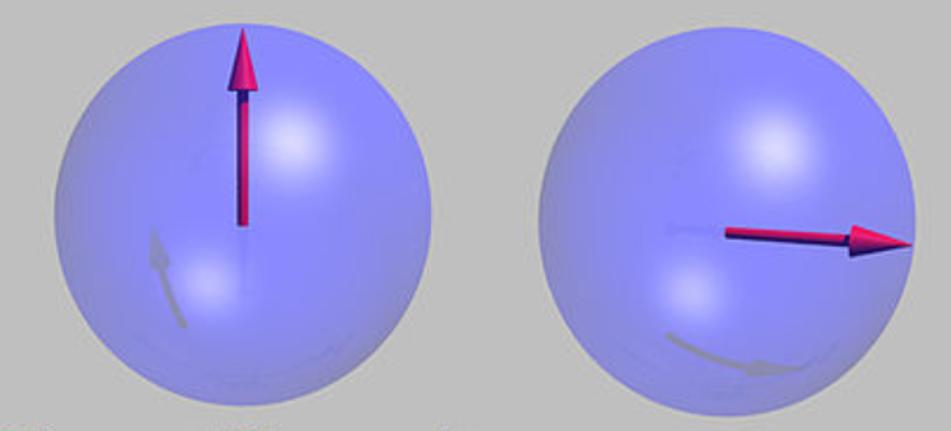 磁共振怎么看大脑基底节区和丘脑,脑核磁能不能看清楚骨头