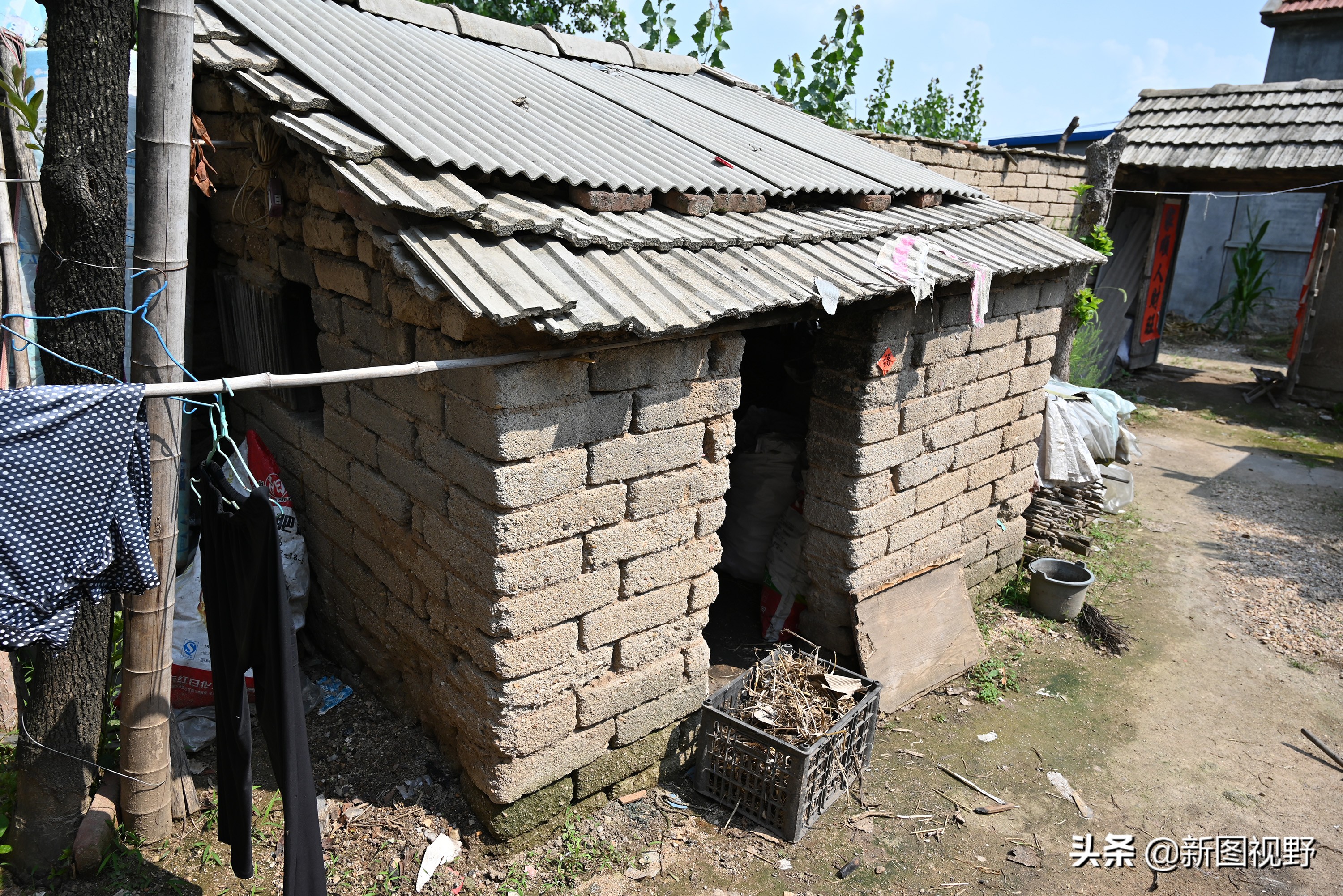 77岁儿子谈长寿经验,100岁母亲插话说出生活秘诀,极具人生智慧