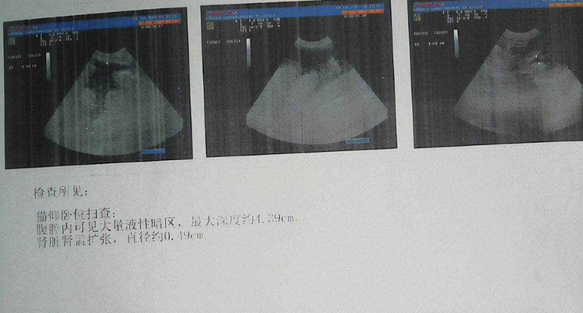 猫咪到底为什么绝育后还会发情呢?