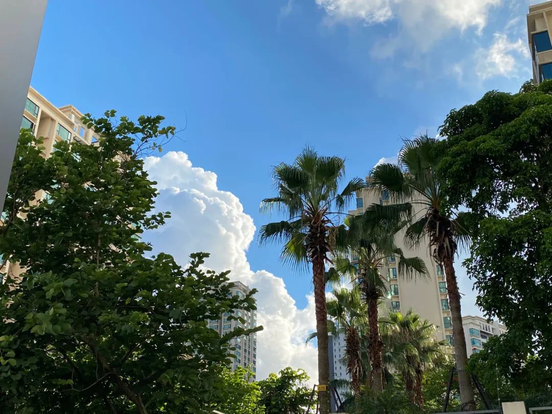 珠海人眼中的香洲区,珠海人眼中的广东人