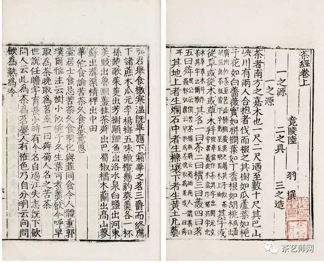 茶文化资料整理,茶文化的知识简介有哪些