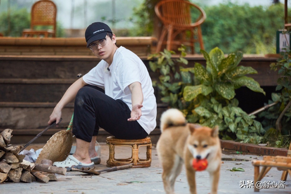 向往的生活任嘉伦谭松韵许魏洲,向往的生活任嘉伦掉河里了