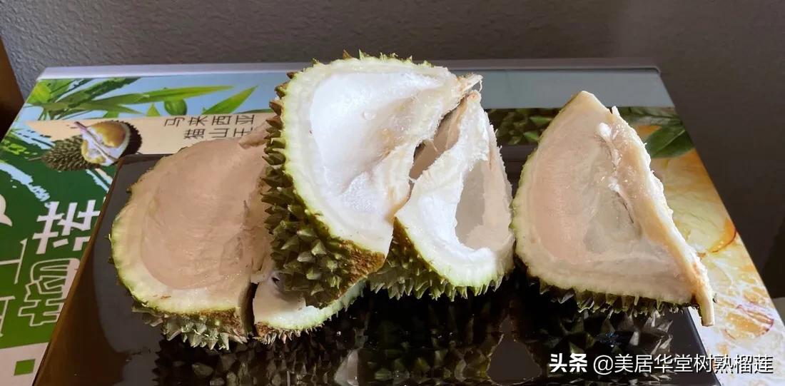 猫山王榴莲是湿包的吗,马来西亚榴莲猫山王