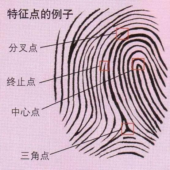 我们的指纹可以变成什么,我们可以修改别人家的密码吗