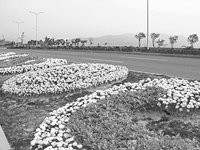 一篇文章读懂拓扑排序,一篇文章读懂摄影