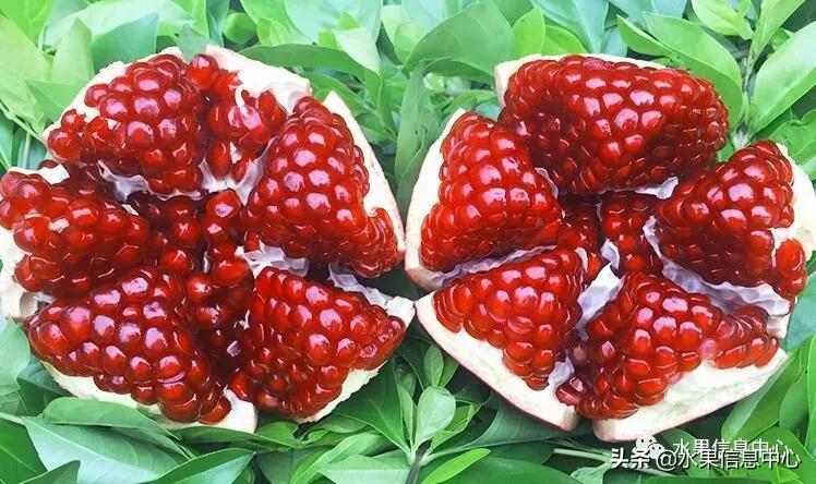 在网上买水果遇到假货怎么办,网上购买水果会被坑吗