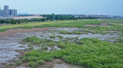 青岛国家海洋公园免费,海洋公园青岛最新