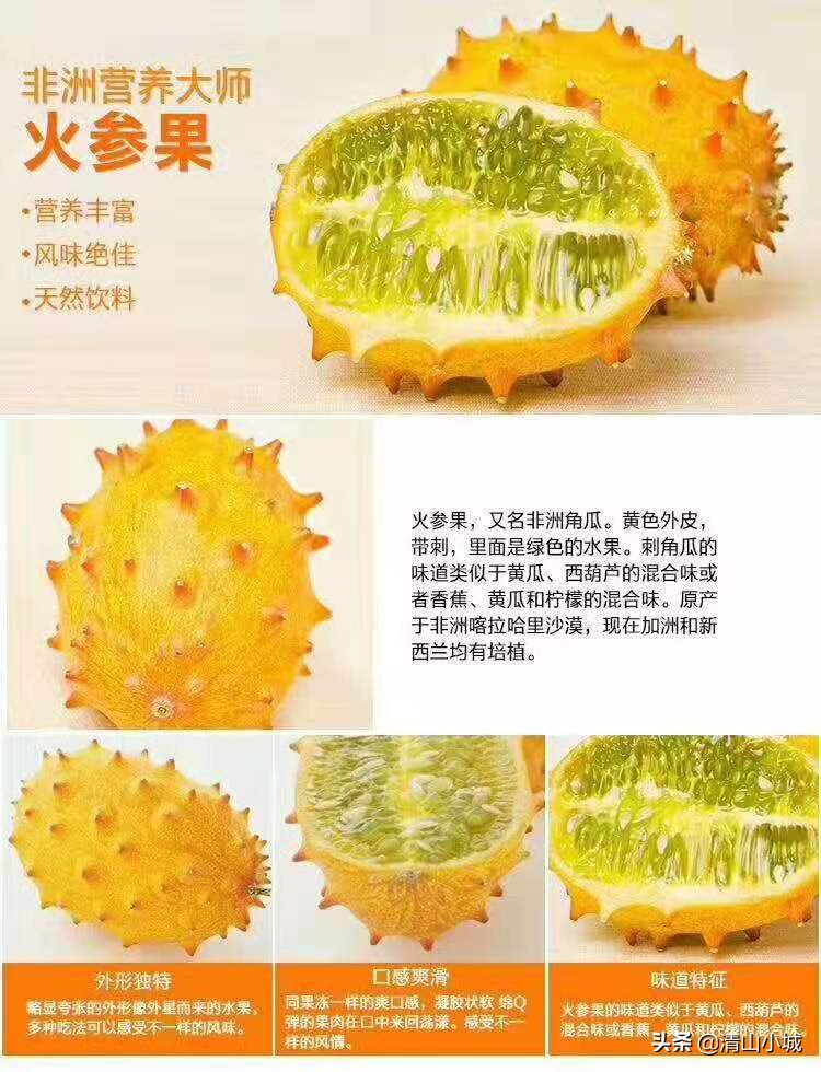 带刺的火参果,天价火参果