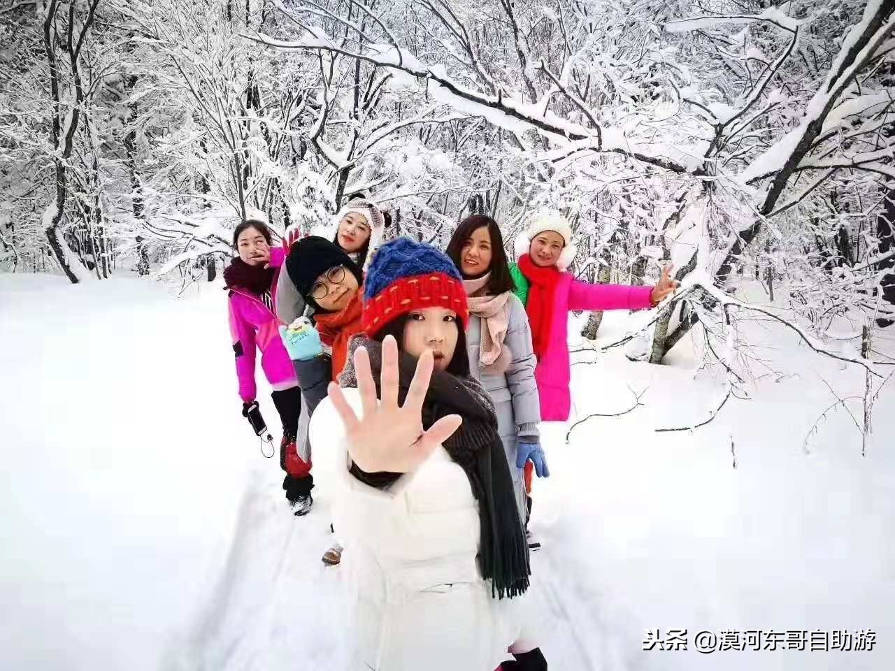 漠河旅游团暑假,漠河雪乡旅游小团