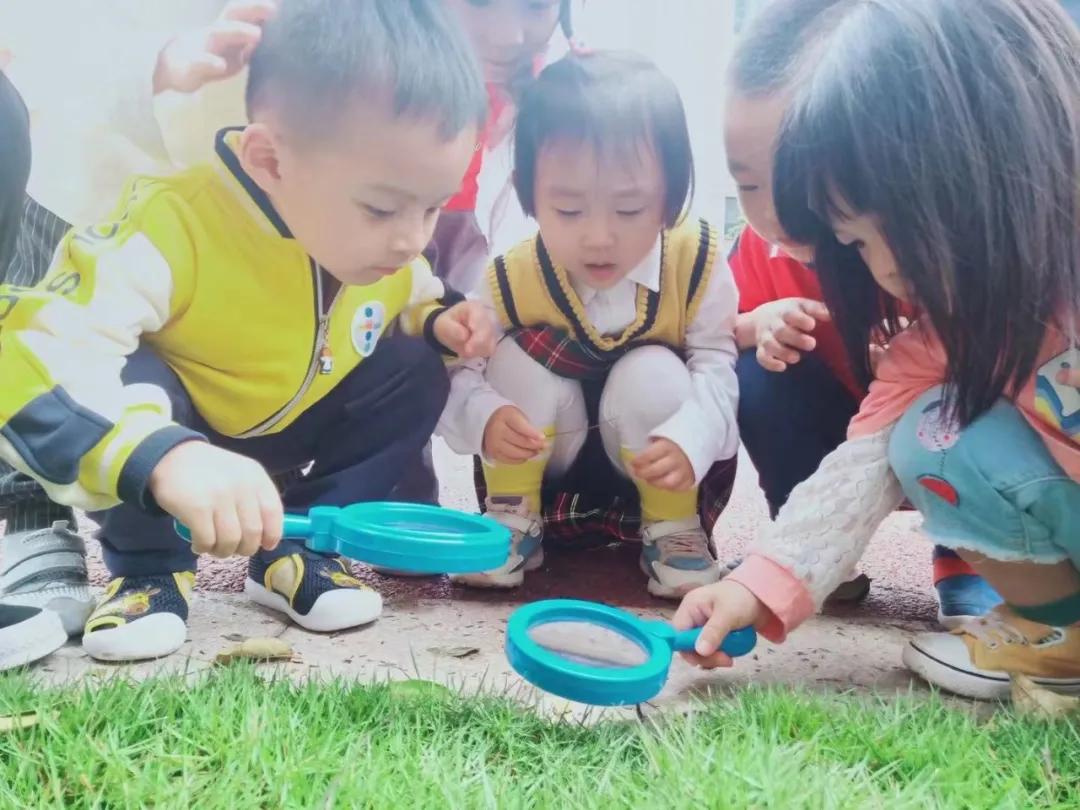 幼儿园公众号,想说爱你不容易