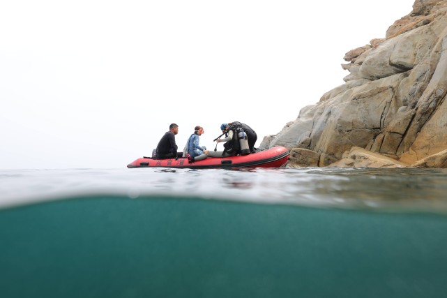 青岛海底小纵队在哪里,舟山海底小纵队