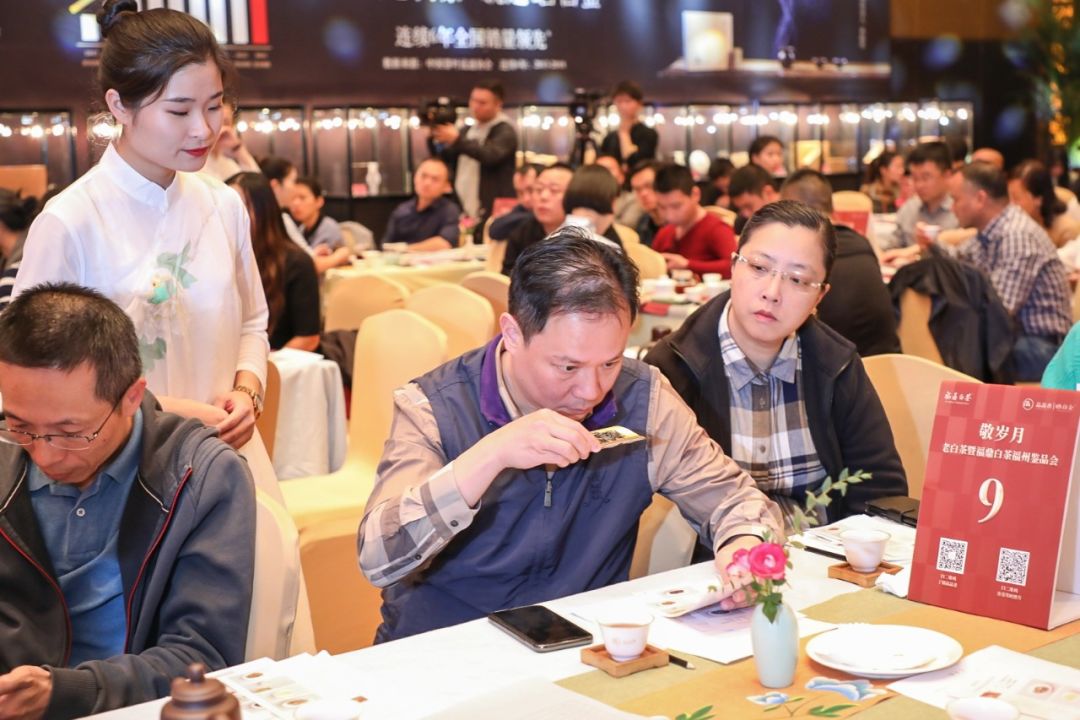 福鼎老白茶白牡丹正宗明前,老白茶白毫银针白牡丹