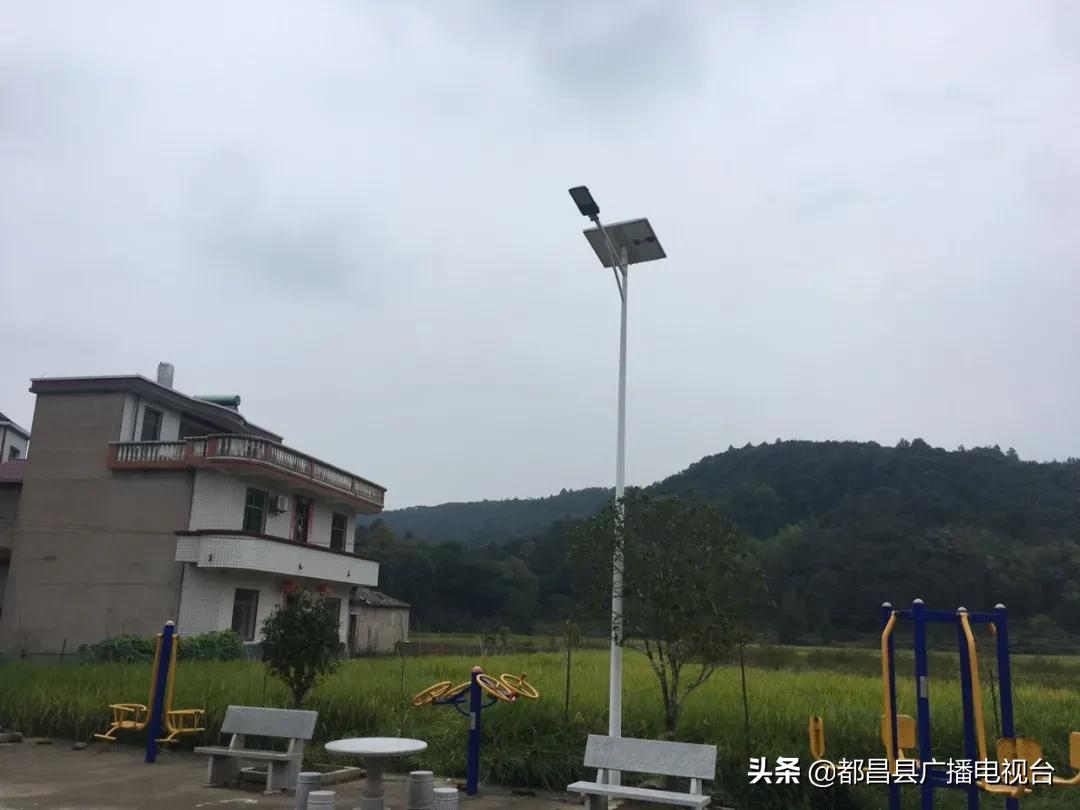 传家风扬家训视频,传家训立家规扬家风诗歌朗诵