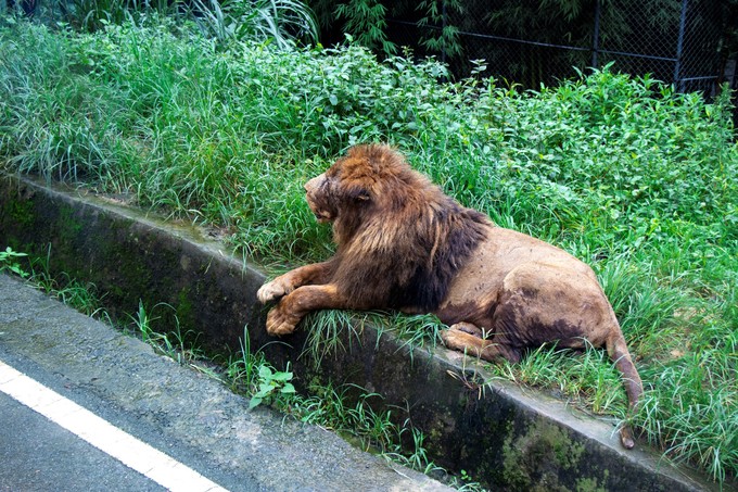 儿童亲子游怎么玩,室内亲子游必玩100例