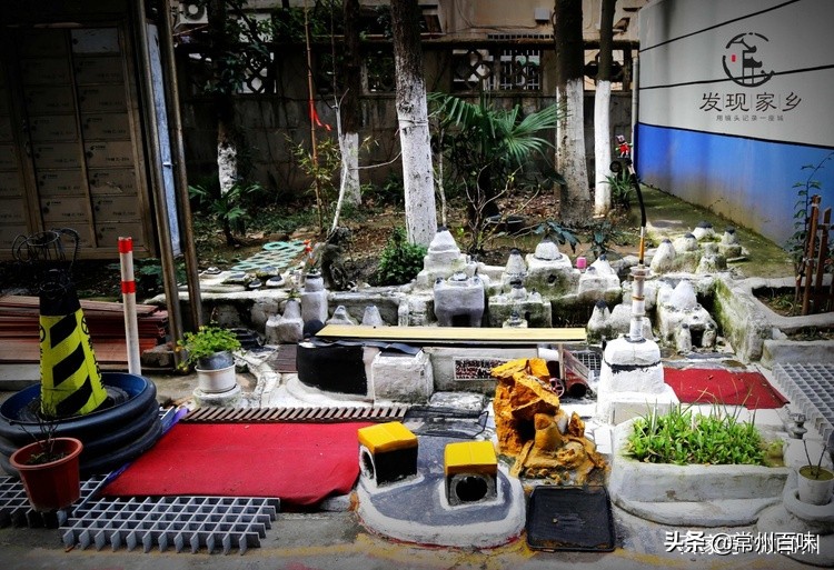 四季更迭时光流转又是新的一年,四季变迁春去秋来