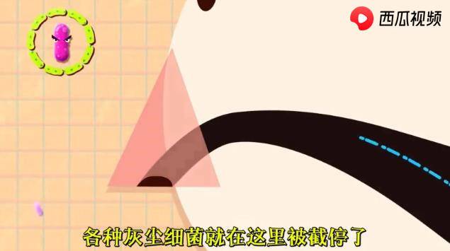 怎么戒掉抠鼻屎坏习惯,怎么才能防止每天抠鼻屎