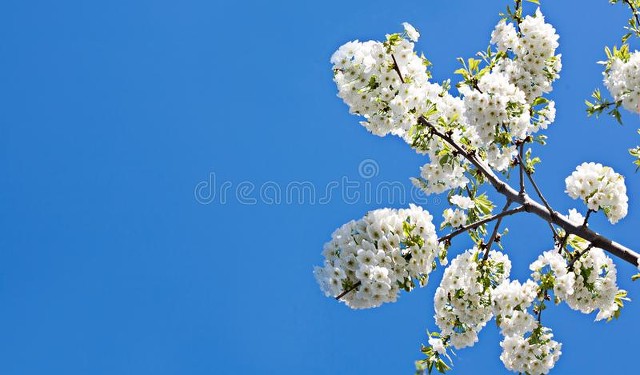 她做保姆的这些年豪门生活之八,她做保姆的这些年豪门生活之十四