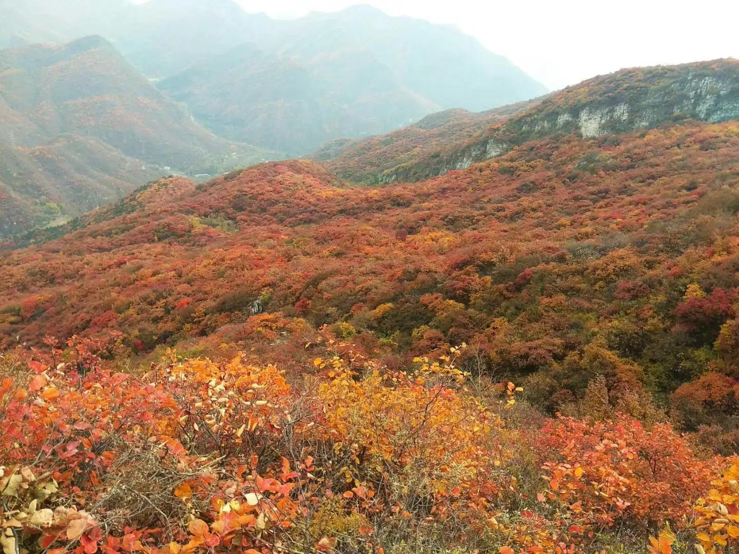 房山药王谷门票,房山药王谷风景区