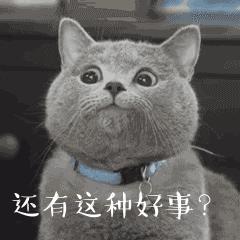 只涨不跌的澳洲大学开始退学费了?专门给海外留学生