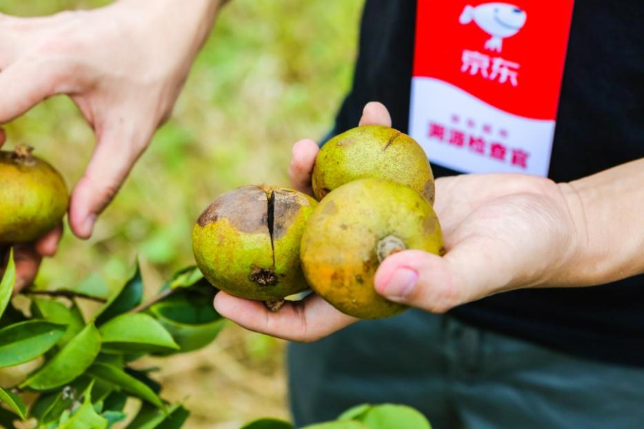 头发真的可以种出来吗,头发可以种出来揭秘植发效果