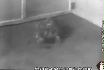 60多年前日本万人中毒成世界公害！如今福岛百万吨核废水入海…