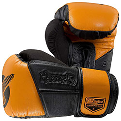 世界拳击排名前十名,世界拳击运动品牌