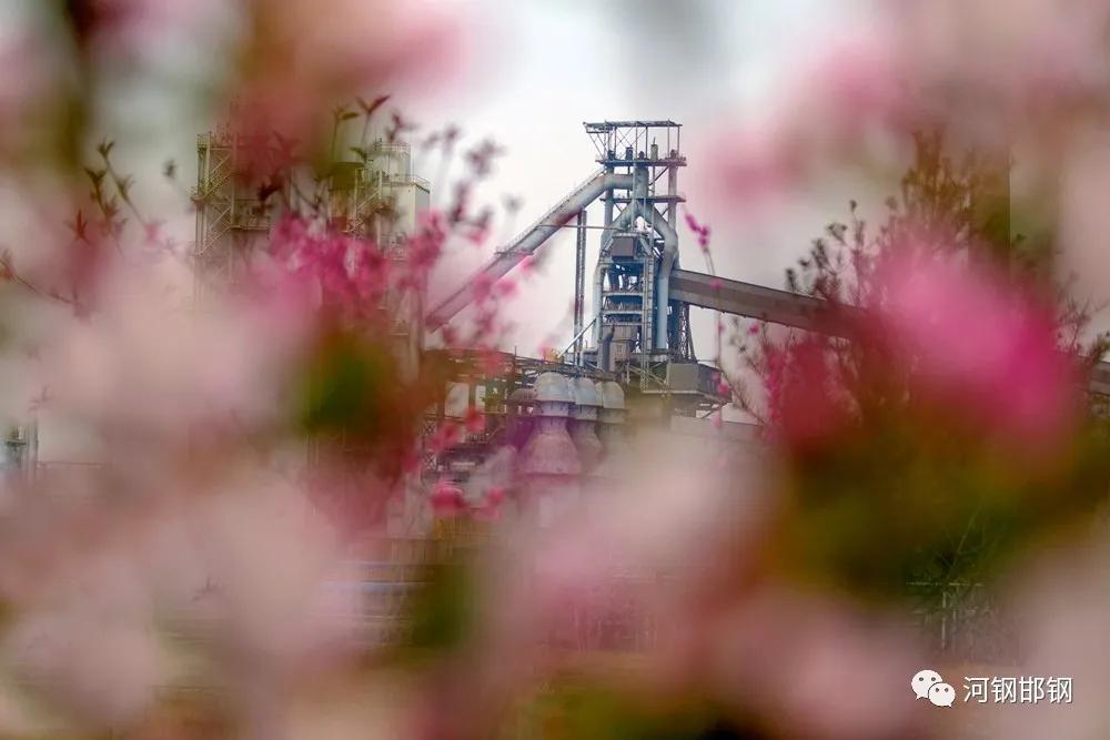 娌抽挗閭挗閾佽矾,娌抽挗閭挗楂樼倝