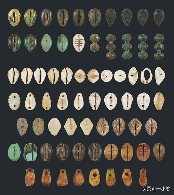 支付方式的演化阶段,支付历史演变过程采访视频