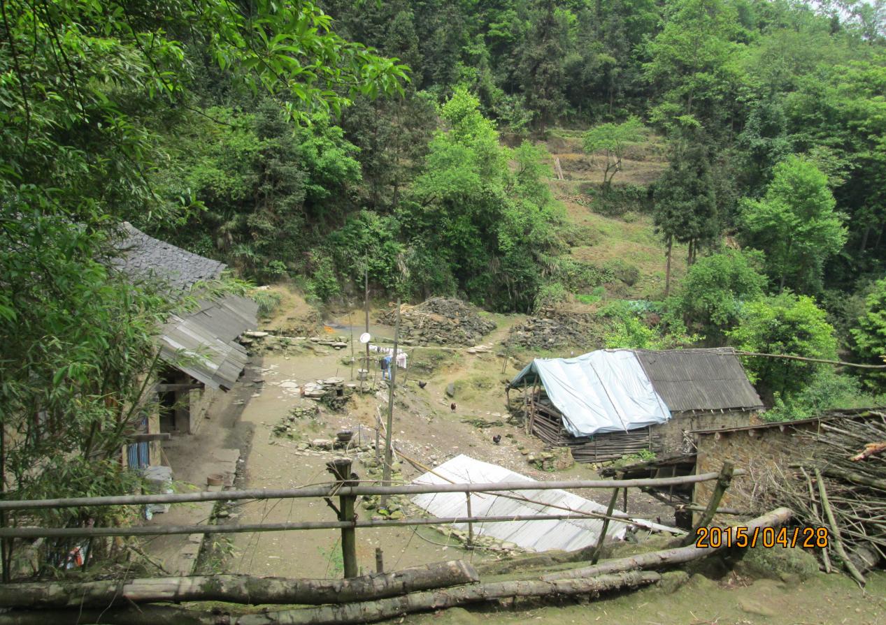 鏉ㄦ椽鍒氬勾鏀跺叆澶氬皯,濞佷俊澶ф渤闀囨潹娲垰