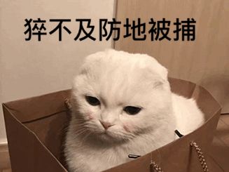 补骨脂酚在护肤品的作用,补骨脂酚对皮肤的功效