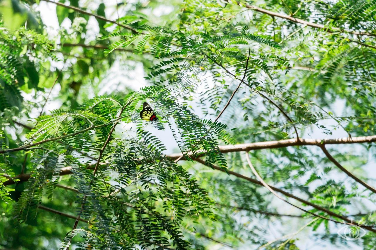深圳各区最美的地方,深圳6个绝美地方