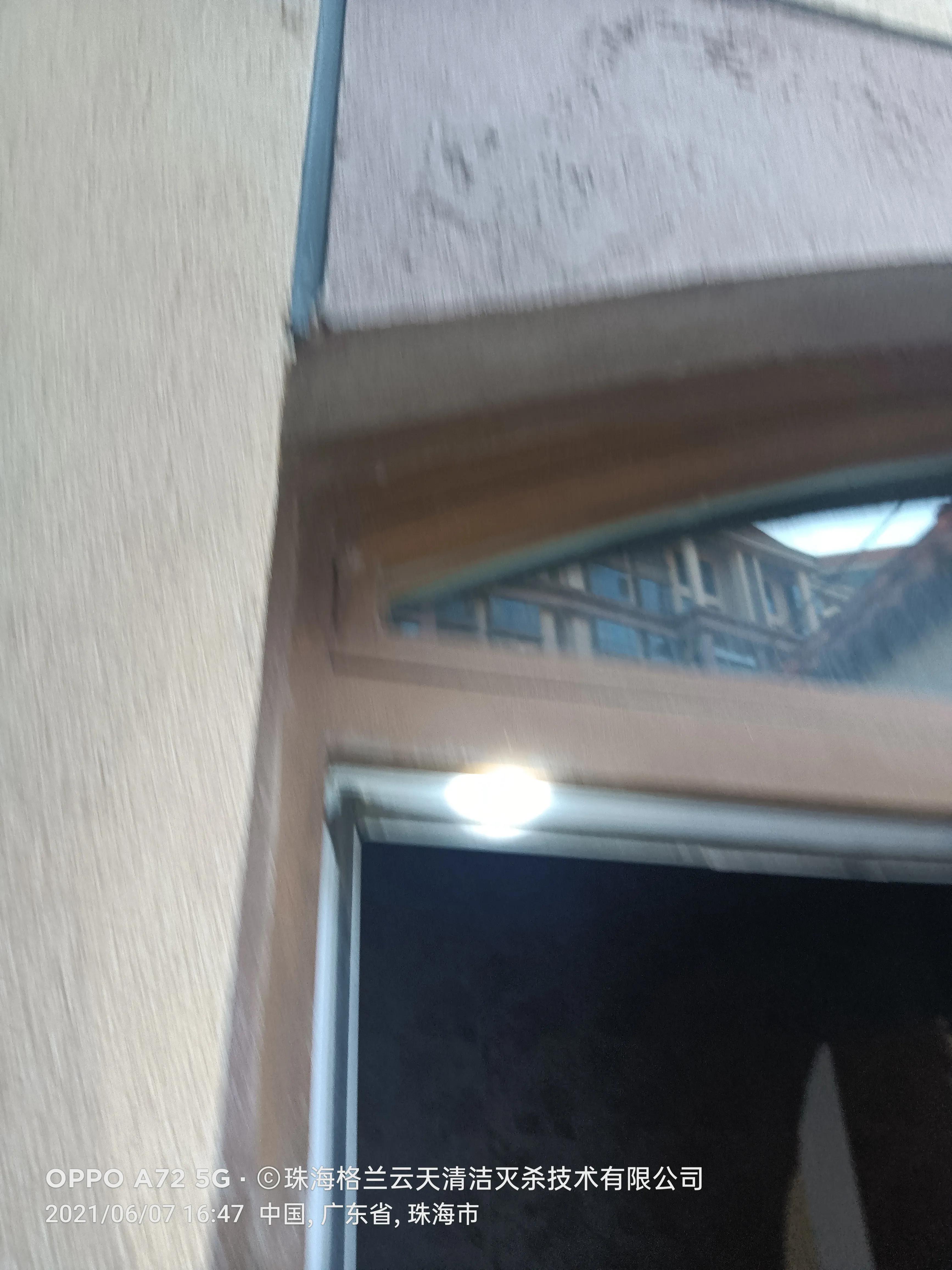 珠海白蚁防治找哪家,珠海白蚁防治服务公司