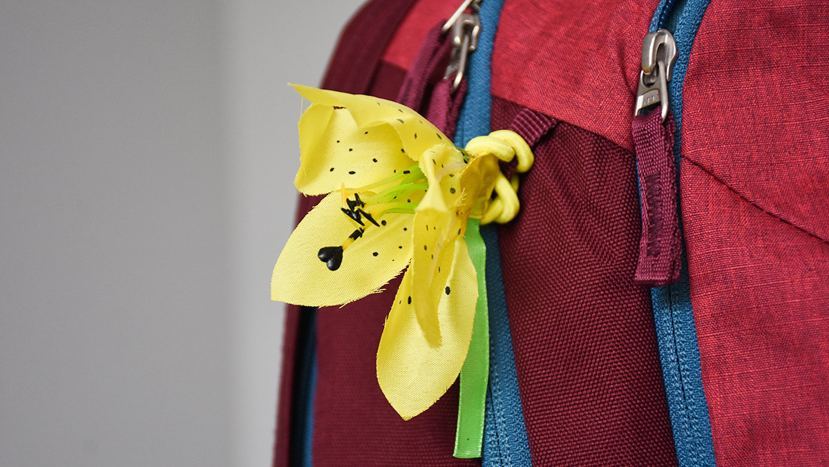 多特deuter尖峰背包,多特deuter背包怎么使用