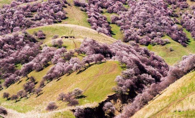 你永远不会体会到*疆新**公路的风情万种,除非你亲自自驾到那里!