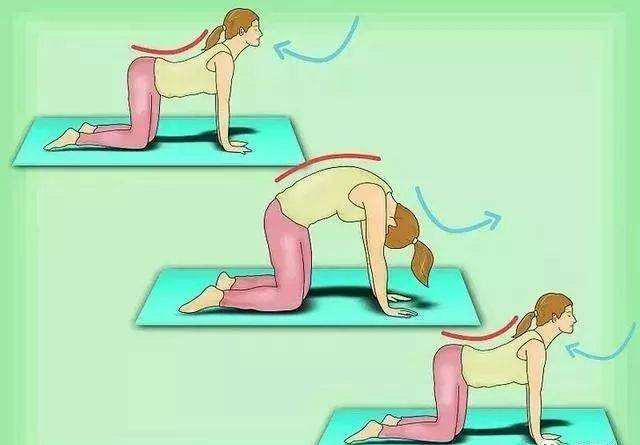 适合早上练的瑜伽动作视频,适合早上做的瑜伽动作