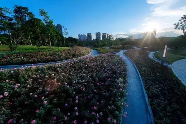 深圳最美婚姻登记中心,深圳最美婚姻登记攻略