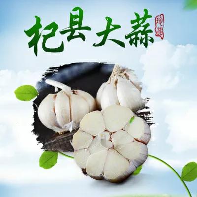 焦裕禄的6个子女:次女被毛主席接见,次子官至正厅,人称小焦书记