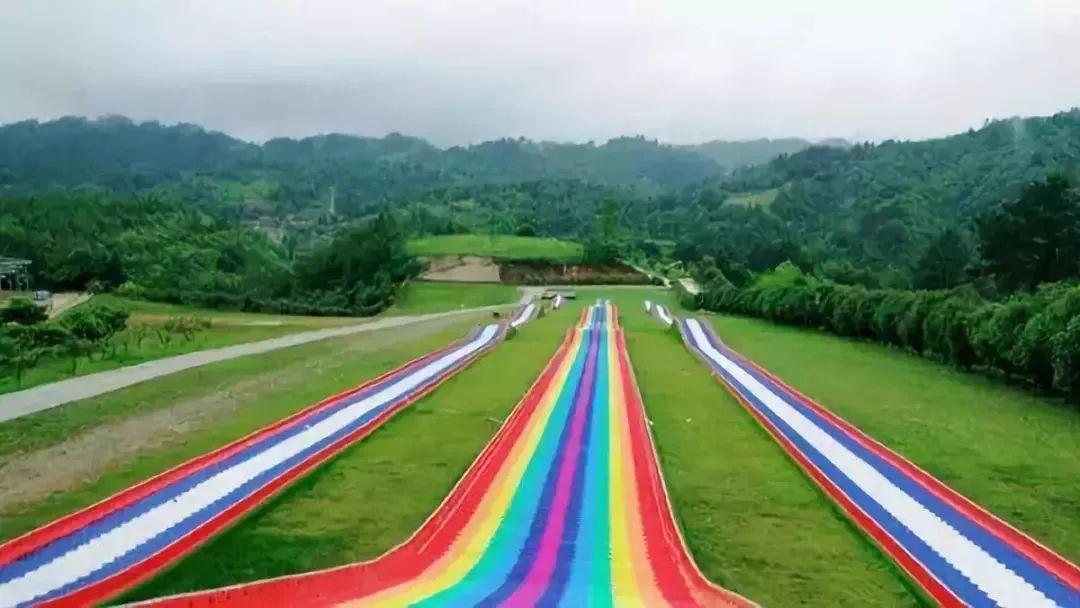 槽糕，是心动的感觉！这个神秘花谷正在悄然绽放！走，去拍照～