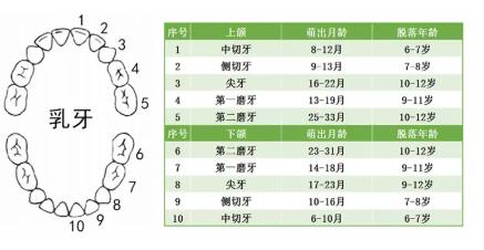 宝宝突然口水特别多一个劲吞咽,婴儿发烧流口水是不是发芽了