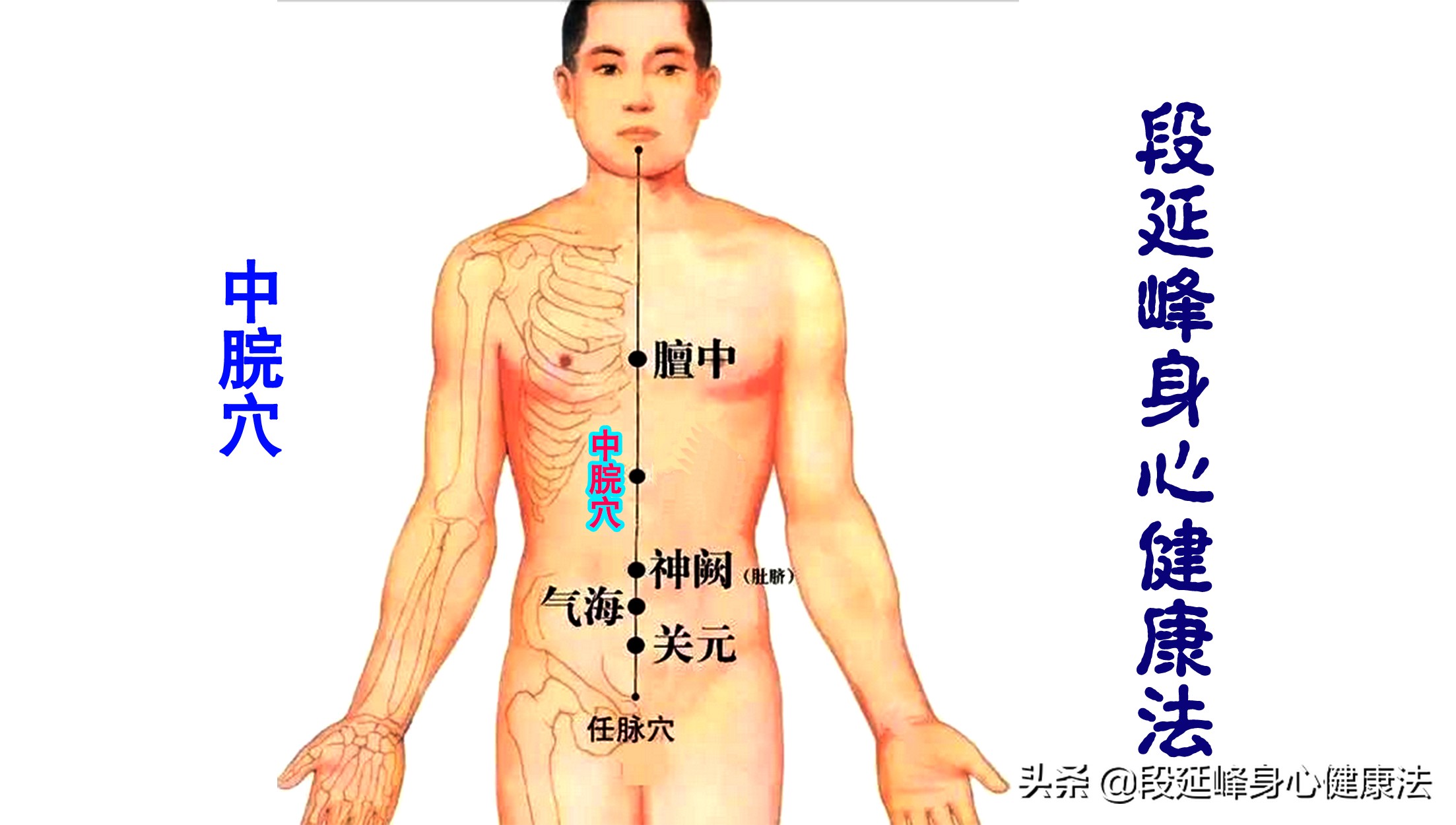 胃肠动力不足中药如何调理,胃肠功能紊乱胃动力不足怎么办
